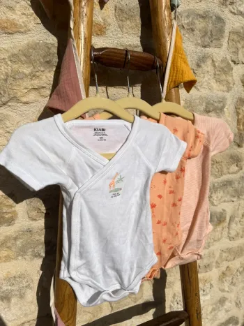 Lot bodies manches courtes