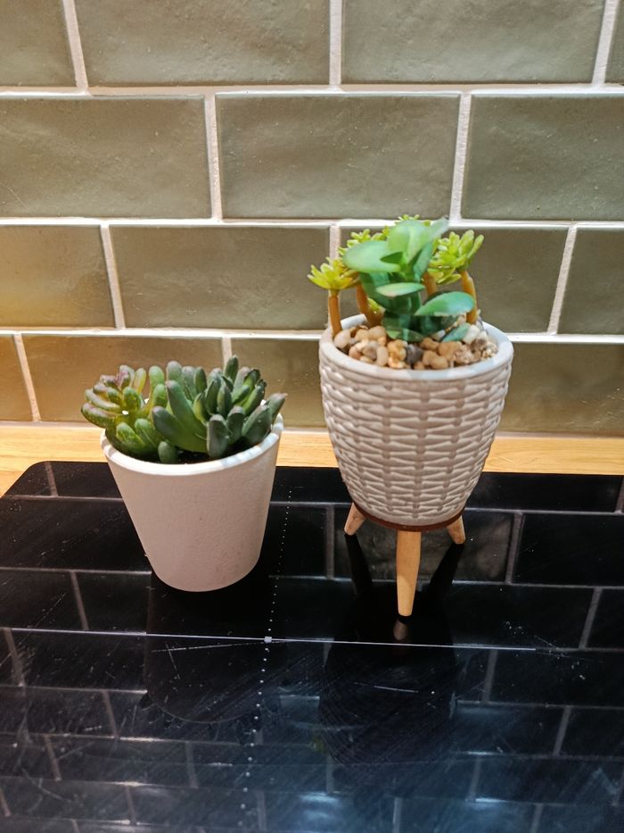Lot d petites plantes artificielles