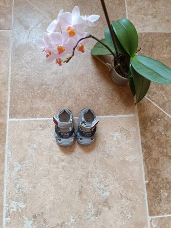 Chaussures garçon taille 18, Freemouss