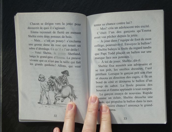 Livre "Sheltie et les pirates" - photo numéro 3