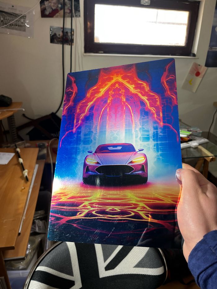 Poster en métal - photo numéro 2