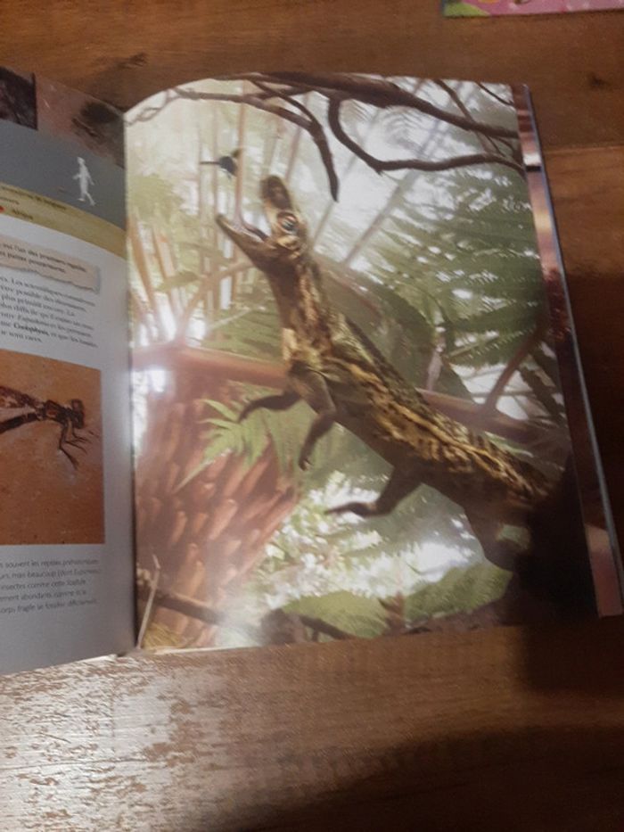 Grand livre Préhistoire des dinosaures aux premiers hommes - photo numéro 4