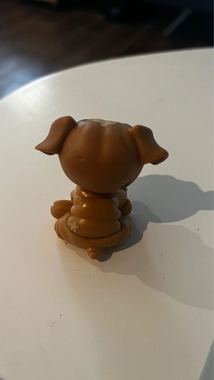 Pet shop bouledogue - photo numéro 3