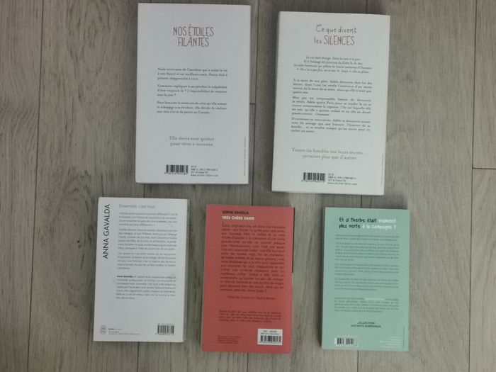 Nos étoiles filantes, Ce que disent les silences, Et si l'herbe était vraiment plus verte à la campagne - photo numéro 2