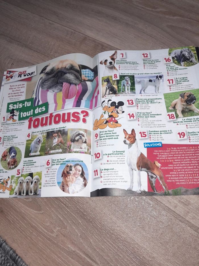 Magasine le journal de Mickey à fond les ballons avec BD🌺 - photo numéro 2