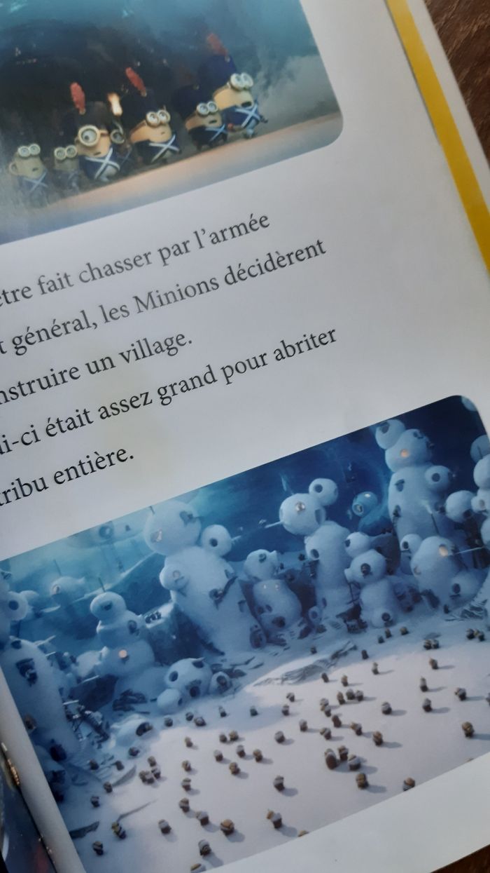 Livre Hachette Jeunesse Les Minions - photo numéro 2