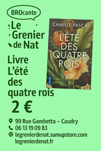 Livre camille pascal l été des quatre rois