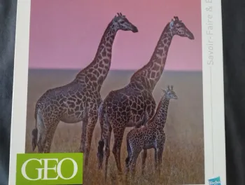 Puzzle MB Géo collection 1000