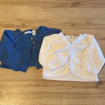 2 gilets 12 mois