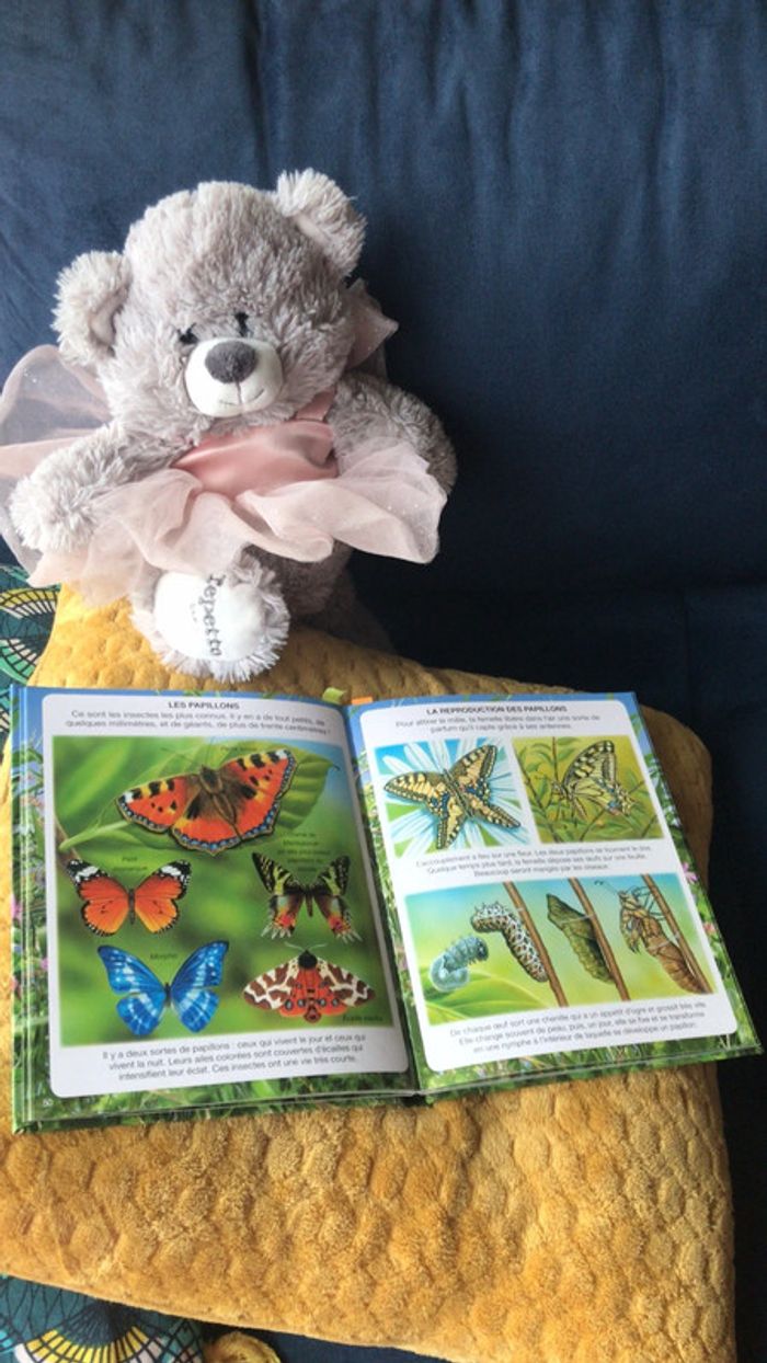 Livre l imagerie des petites bêtes - photo numéro 5