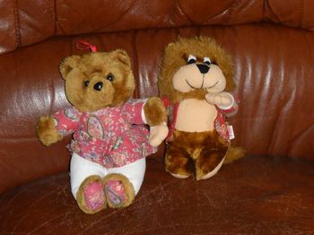 Lot 2 peluches : ourse & lion