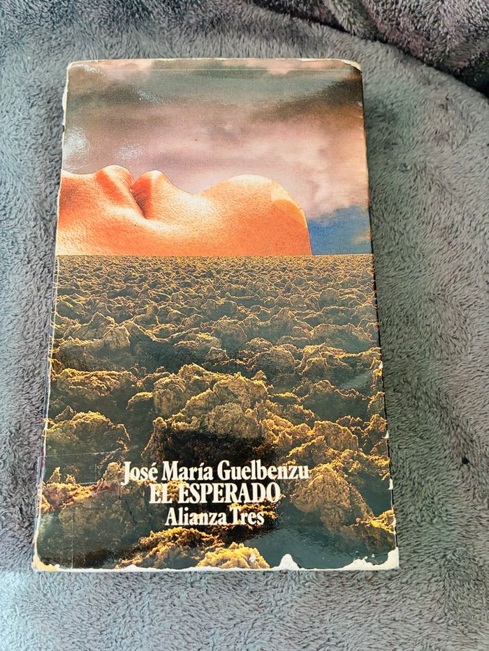 Lot livres littérature espagnole - photo numéro 2