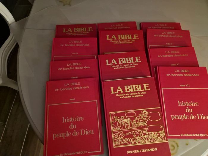 Histoire du peuple de dieu en BD. - photo numéro 2