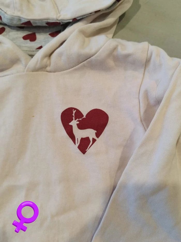 Sweat à capuche - photo numéro 2