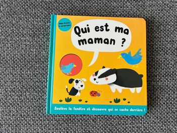 Livre à surprises bébé 