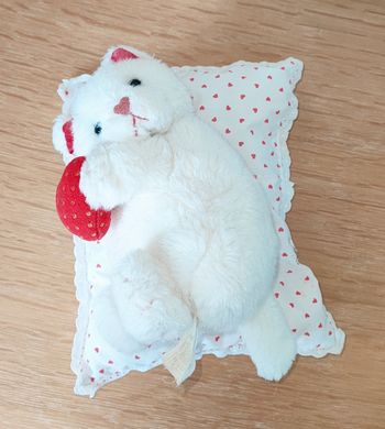 🦄 Chaton en peluche avec son coussin 🦄