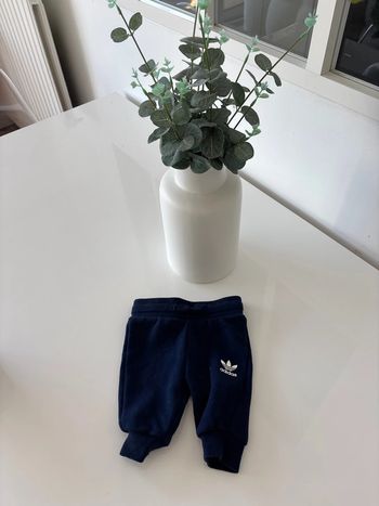 Pantalon de jogging Adidas 0-3 mois