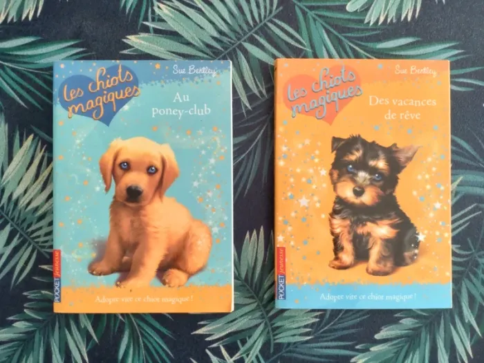 Lot de deux livres Les chiots magiques, tomes 1 et 12