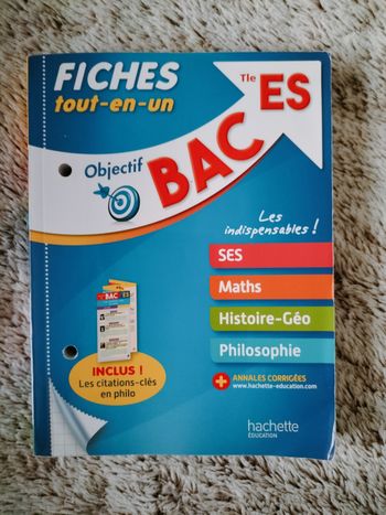 Fiches tout-en-un BAC ES (2017)