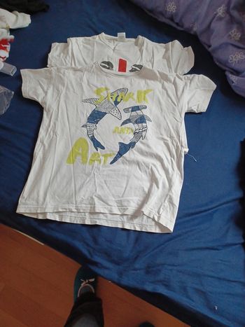 Lot 2 tee-shirts 10 ans MC