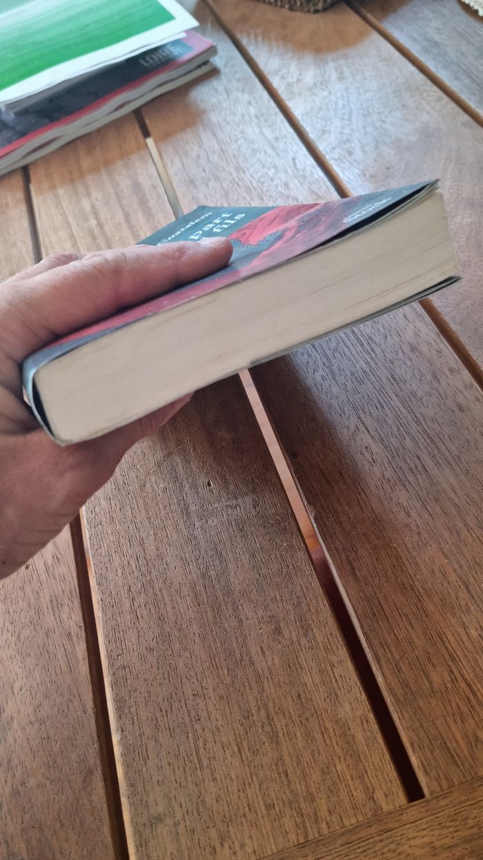 Roman adulte - photo numéro 3