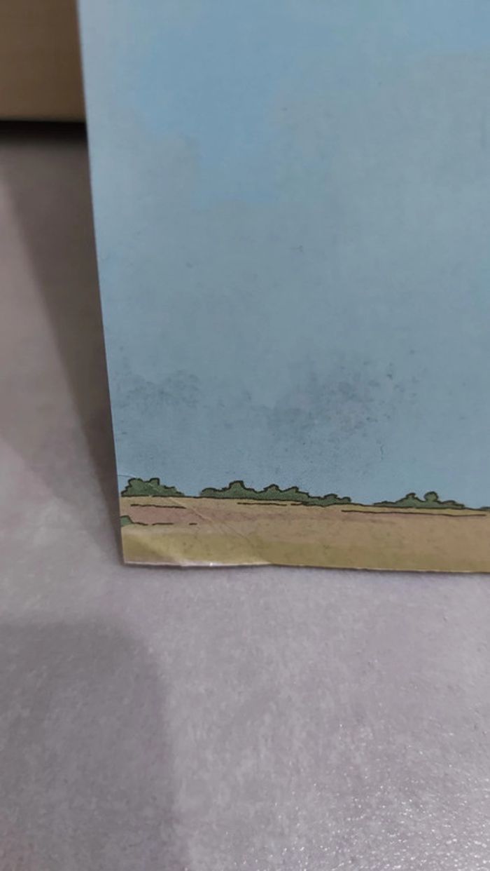 🌺 Livre (école des loisirs) : Lilienthal le fou volant - photo numéro 5