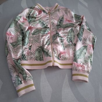 Veste