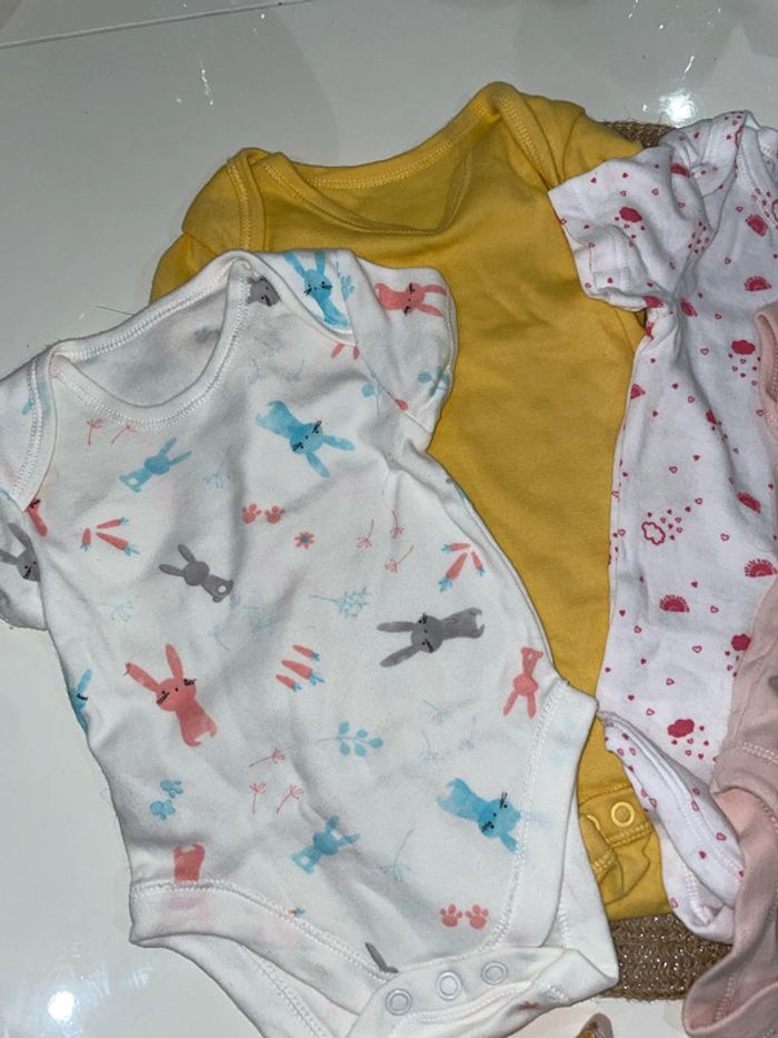 Lot de 20 bodys manches courtes - photo numéro 17