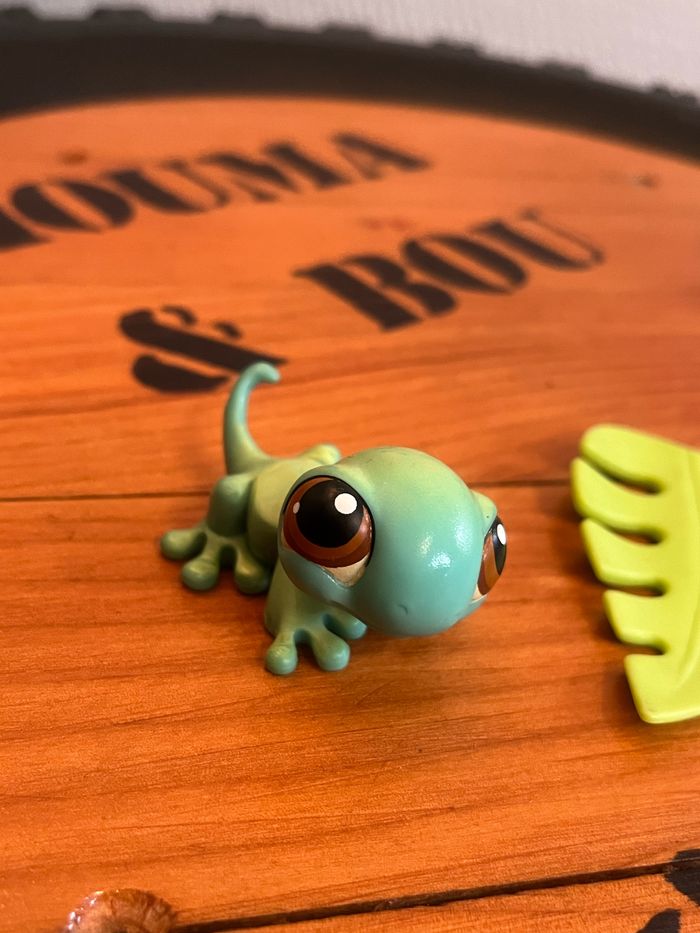 Petshop et son accessoire - photo numéro 6