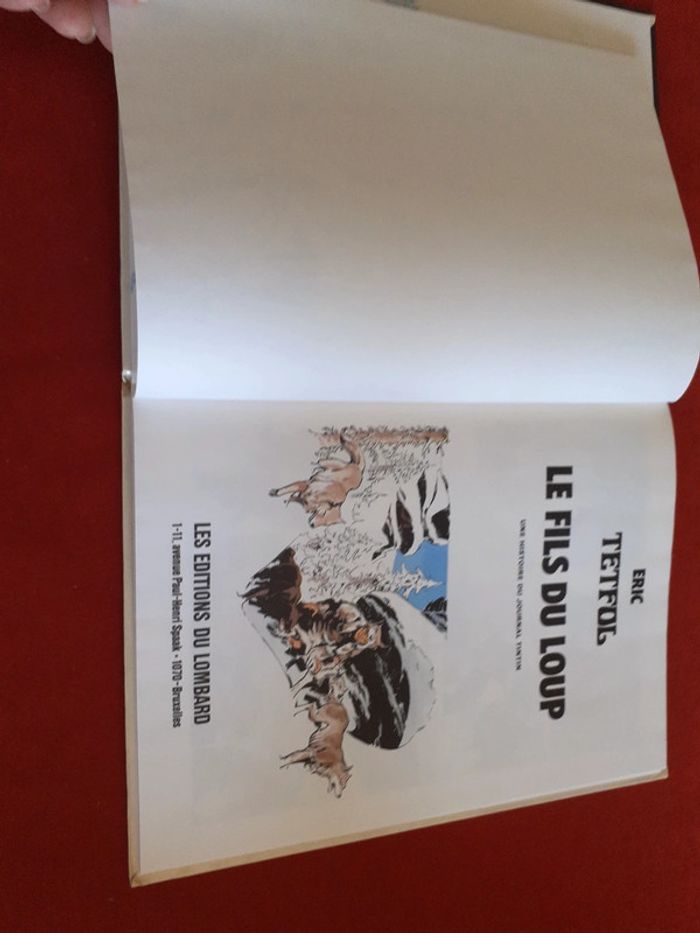 Bd " Le fils du loup " Éric Tetful " éditions Lombard - photo numéro 14