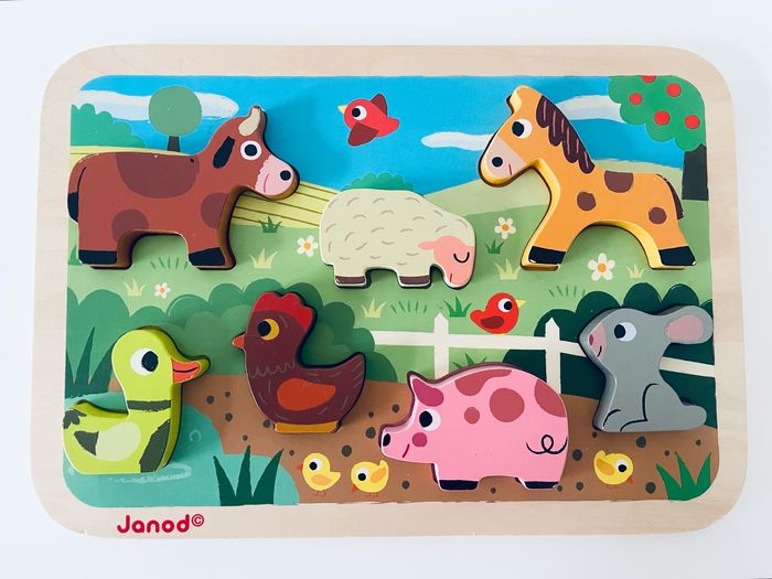 Lot de 6 puzzles en bois - photo numéro 4