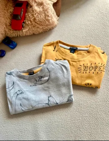 Lot 2 sweats légers - mi saison - 3 ans