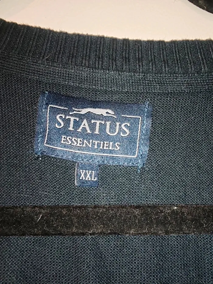 Pull status - photo numéro 4
