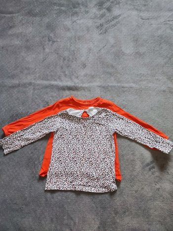 Lot de 2 Tee shirt 18 mois