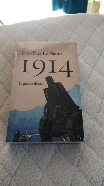 1914 - la grande illusion