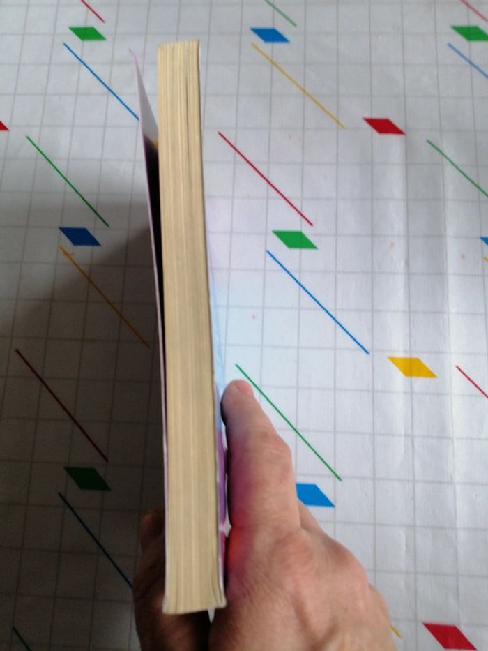 Arthur Rimbaud, le voleur de feu - photo numéro 4