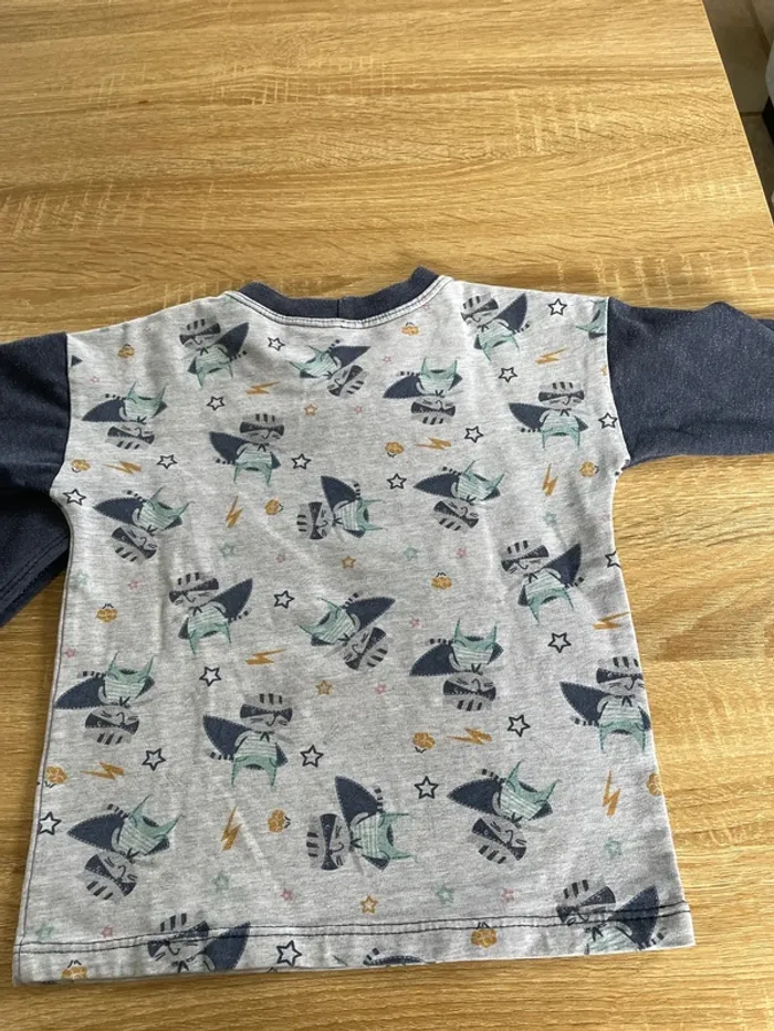 Magnifique sweat 3/4 ans - photo numéro 3