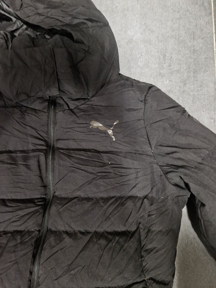 Puma femme - photo numéro 4