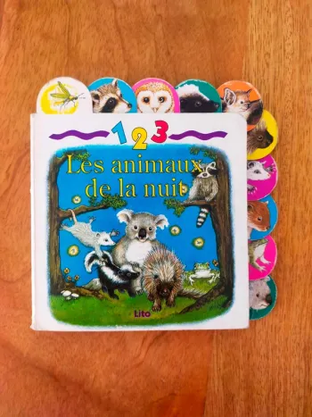 🦉 Les animaux de la nuit 🦝