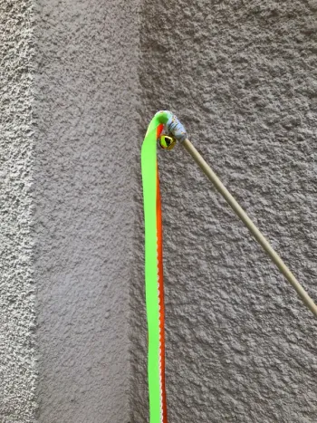 Lot batons de cérémonie
