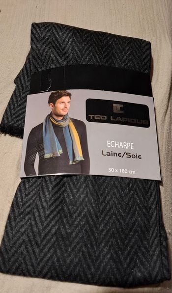 Écharpe pour homme 🚹