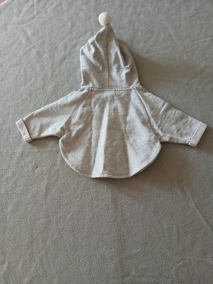 Pull à capuche 6 mois - photo numéro 3
