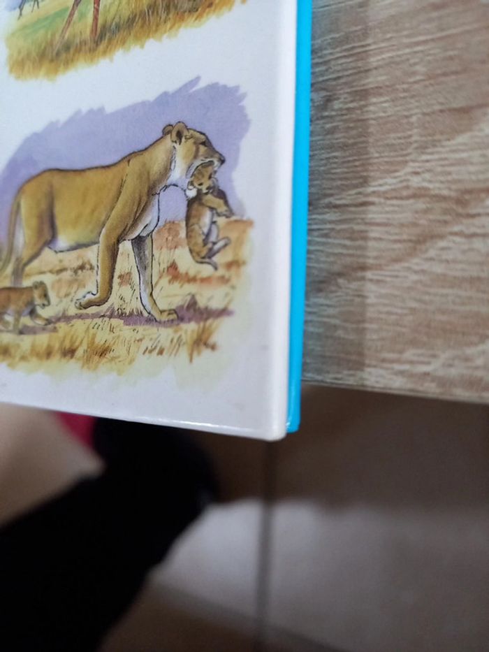 Livres Les animaux de la savane - photo numéro 5