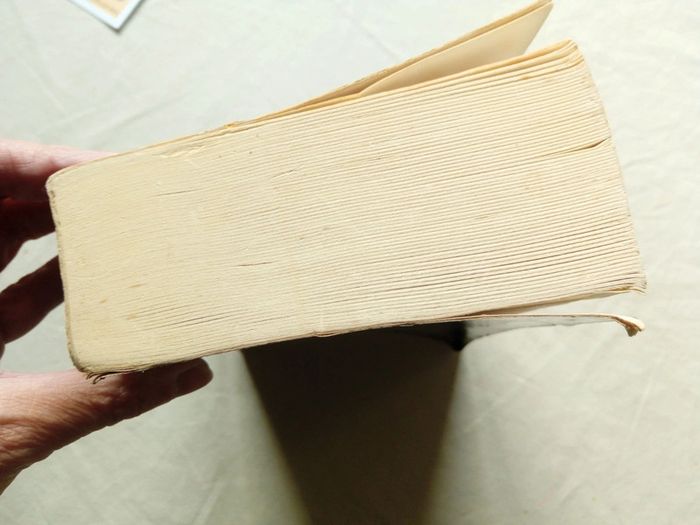 Révélation - Tome 4 Saga Twilight - photo numéro 6