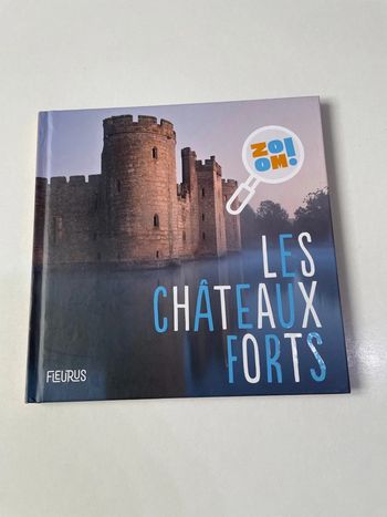 Les châteaux forts