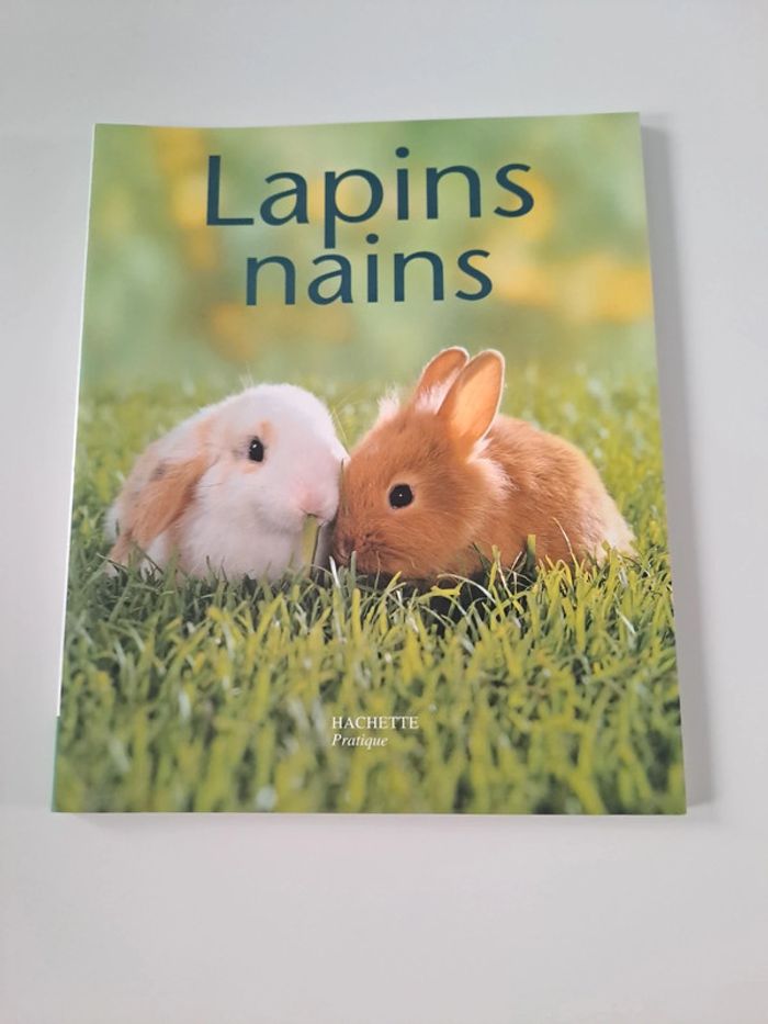 Lapins nains