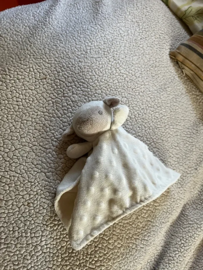 Doudou - photo numéro 2