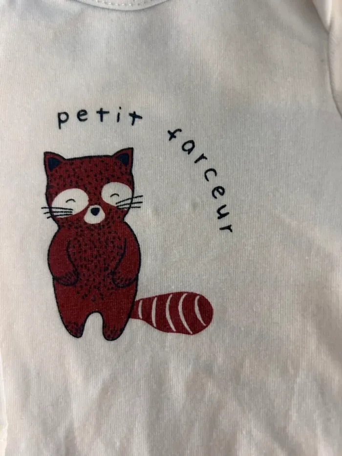 Lot 3 bodies - photo numéro 4