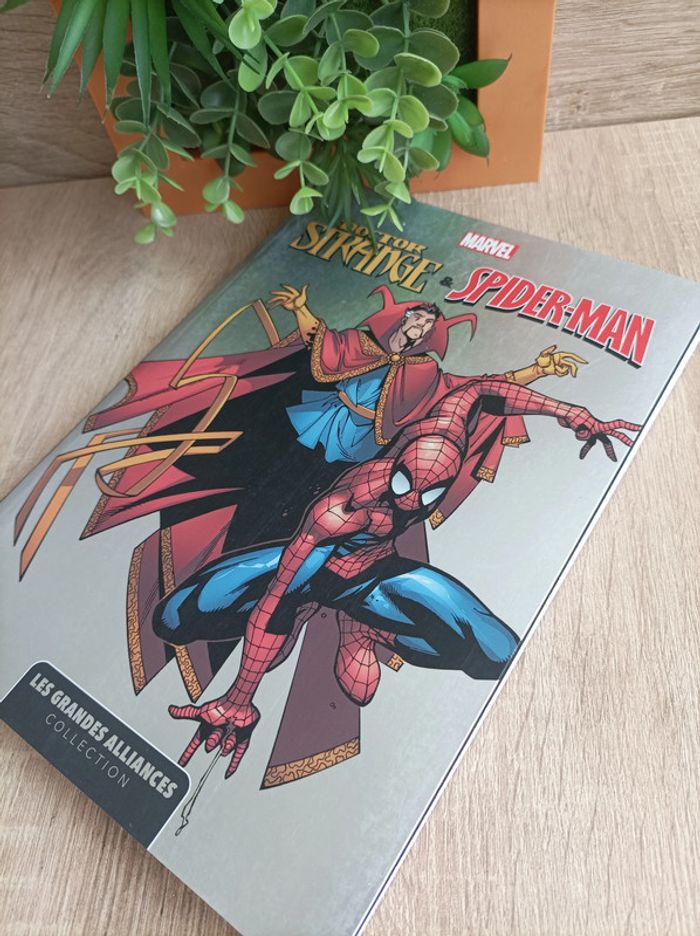 Comics Album Marvel Doctor Strange & Spider-Man Panini - photo numéro 5