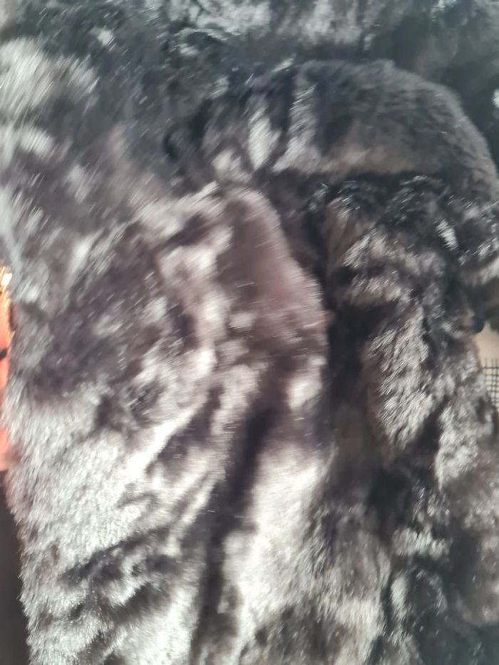 Veste - photo numéro 3
